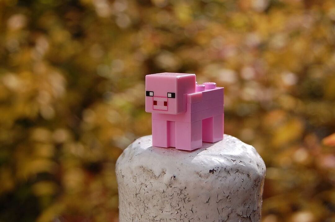 Minecraft Pig - näkymätön lohkon häiriö Minecraft