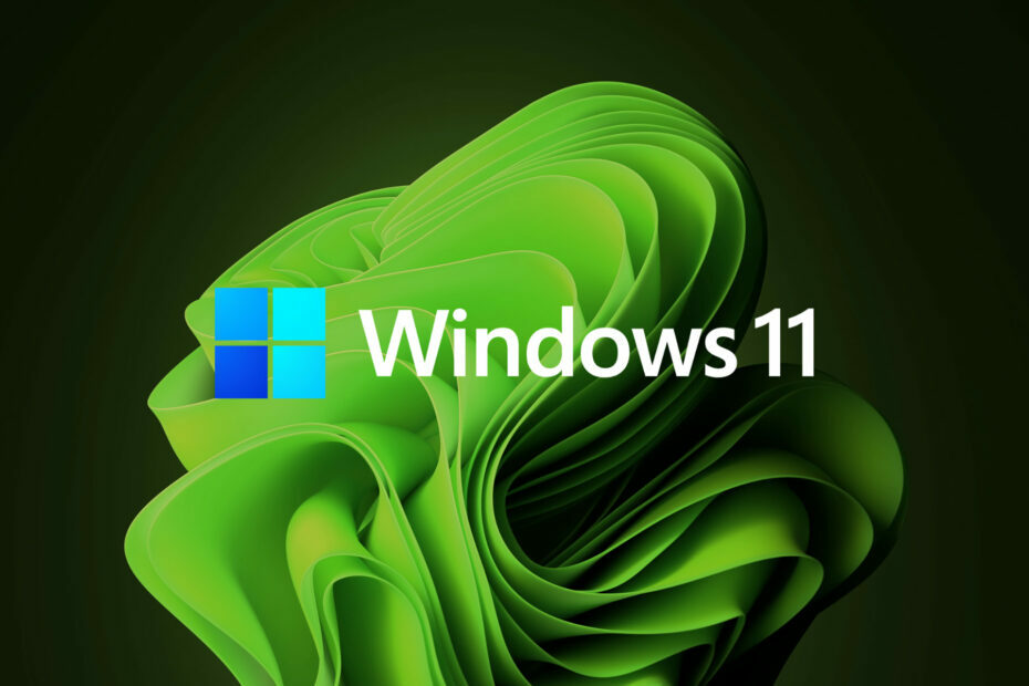يعد Windows 11 Dev Build 25267 هو الأخير لعام 2022
