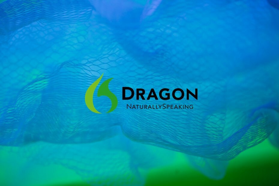 FIX: Dragon Naturally Speaking 13 funktioniert nicht unter Windows 10