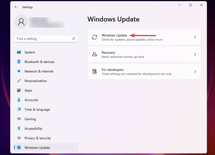 Spustelėkite „Windows Update“.