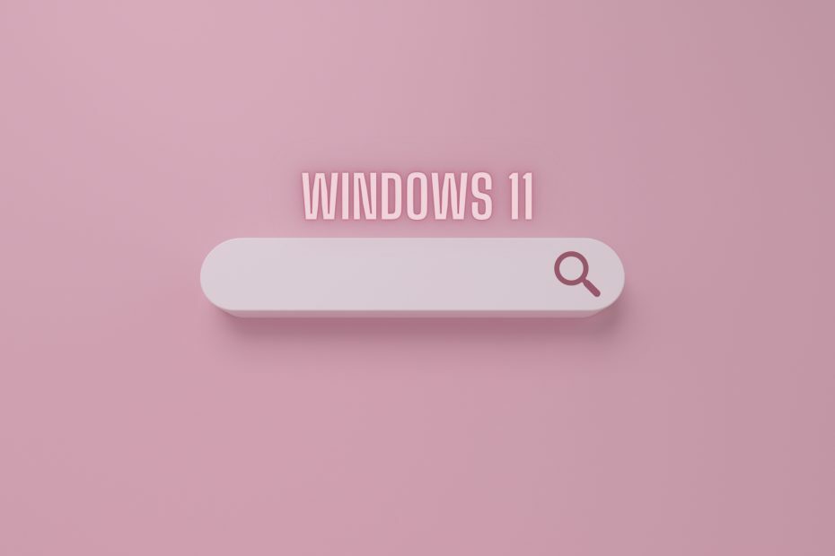 windows 11 22000.65 -hakupalkki