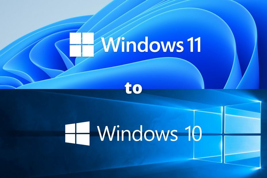 التراجع عن Windows 11 إلى 10