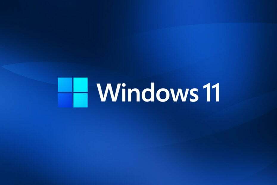 Windows 11 Build 22000.917 est maintenant dans le canal de prévisualisation des versions
