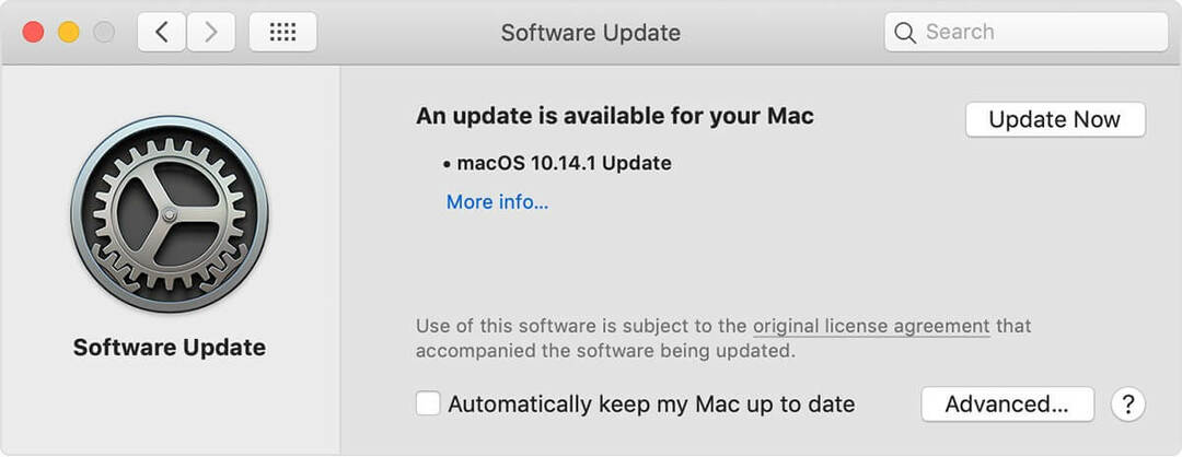 softwareopdatering microsoft fejlrapportering mac