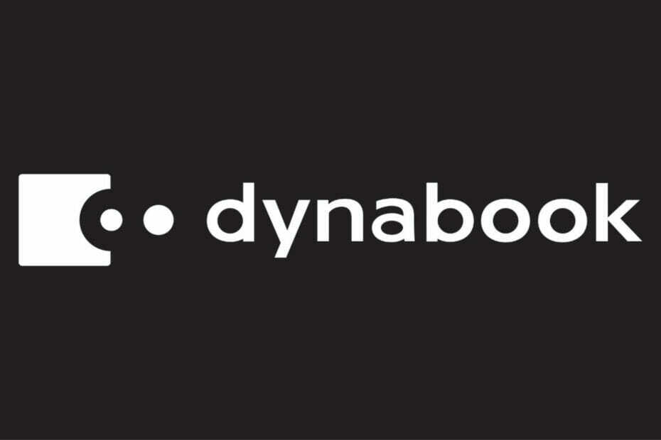 Dynabook-Fenster 11