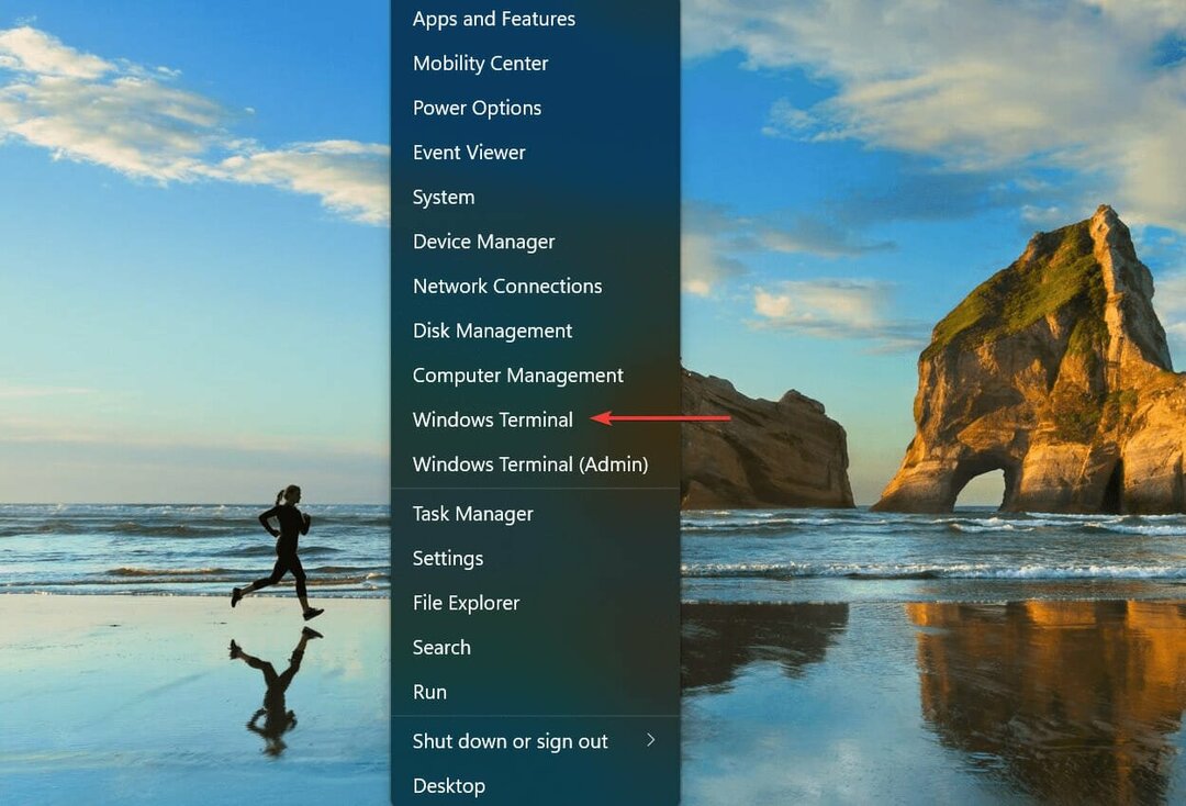 Windows Terminal za iskanje ip naslova Windows 11