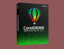 Conjunto de gráficos CorelDraw