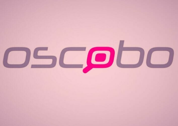 частная поисковая система oscobo