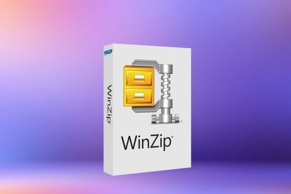 Kaip išpakuoti failus „Windows 7“ ir „Windows XP“