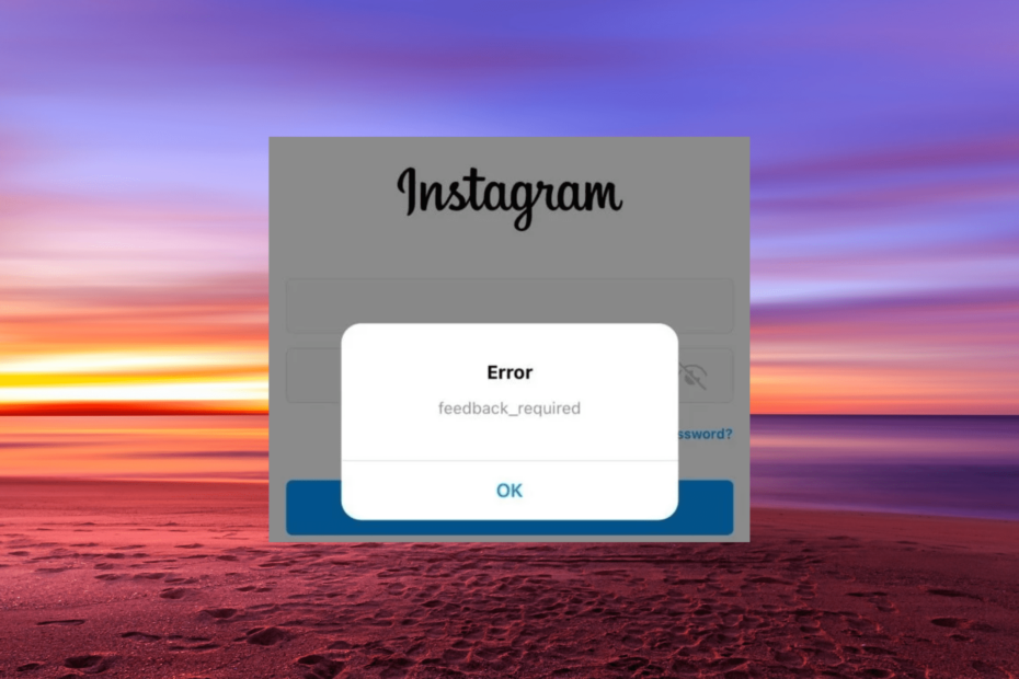 Instagram-Fehler-Feedback erforderlich