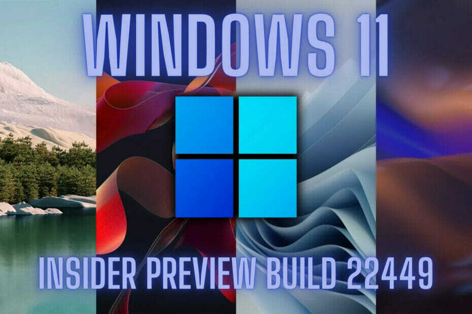 Upgrade niet naar Windows 11 build 22449, het is onstabiel