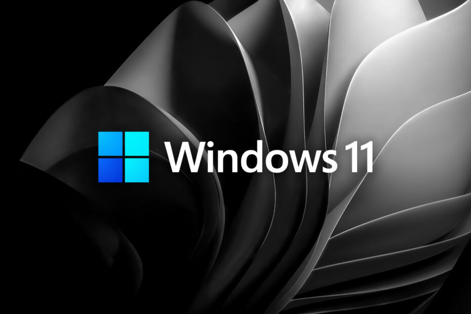 Windows 11 ビルド