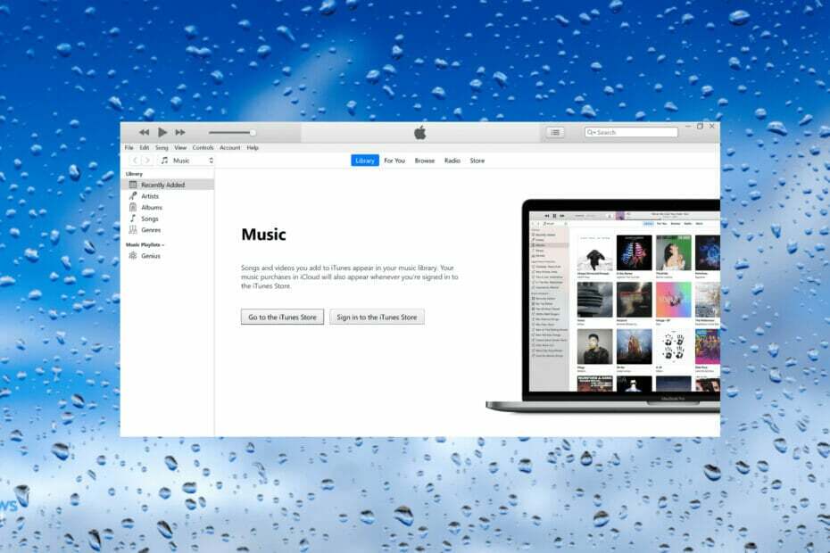 Finn iTunes sikkerhetskopiplassering i Windows 11