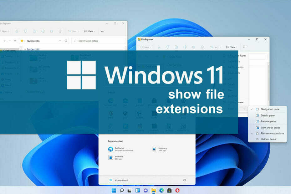 Windows11のファイル拡張子