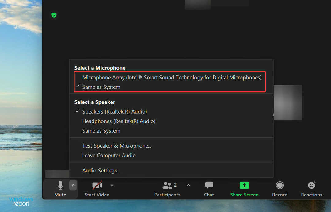 Wählen Sie das gewünschte Mikrofon aus, um zu beheben, dass der Zoom das Mikrofon nicht erkannt hat, Windows 11