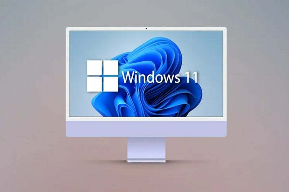 Windows 11 neuer Build