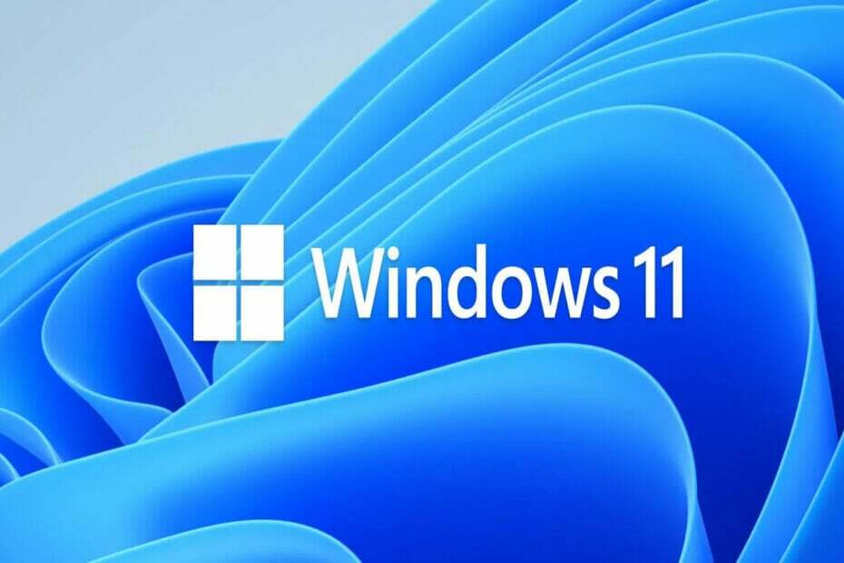 Windows 11 installeren vanaf usb