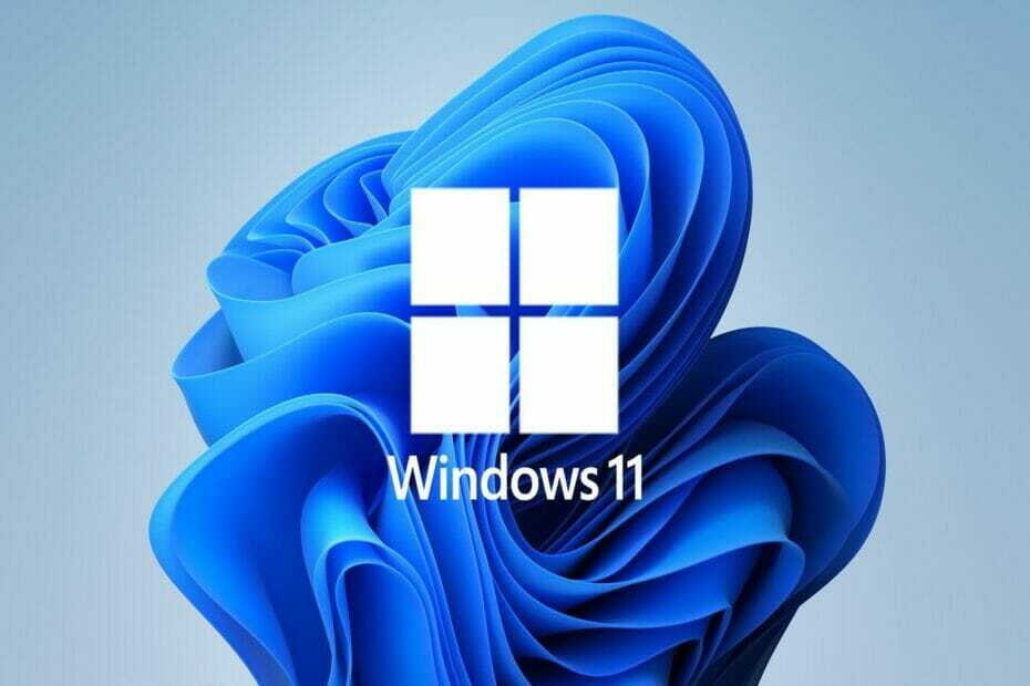 Minacce alla sicurezza di Windows 11 risolte tramite l'aggiornamento KB5007215