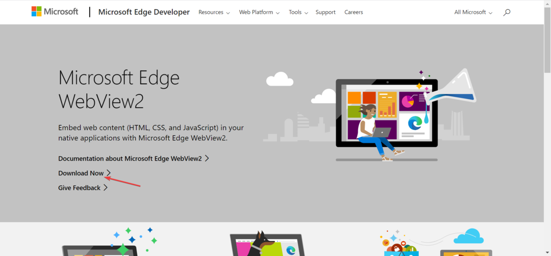 Microsoft Edge WebView2 za popravak potražite pomoć ne radi Windows 11