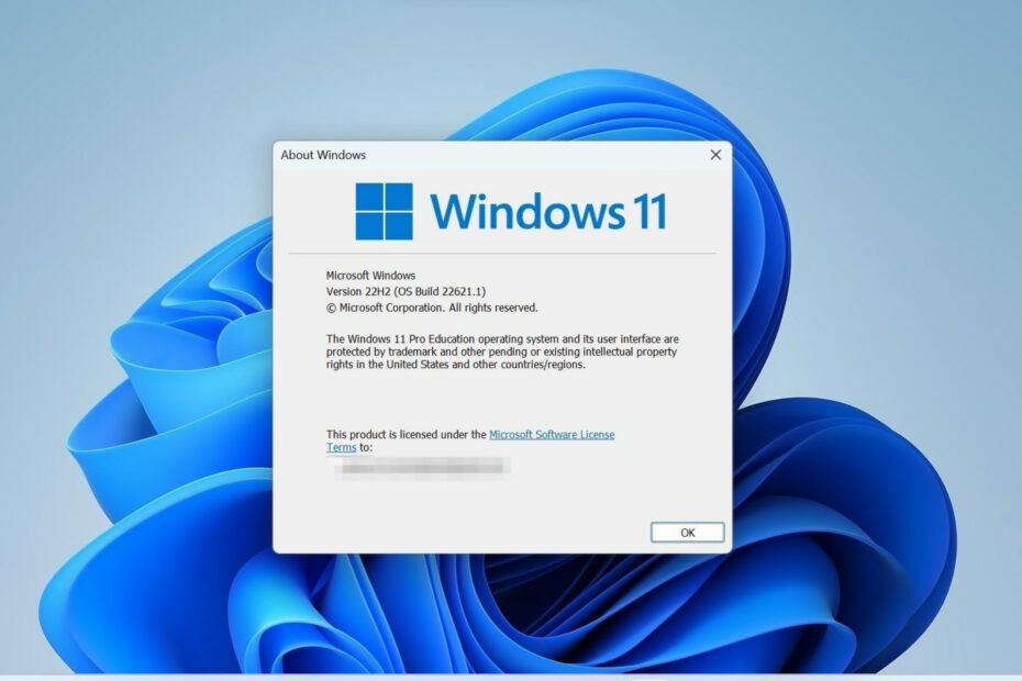 Machen Sie sich bereit für Windows 11 Build 25211 für den Dev Channel