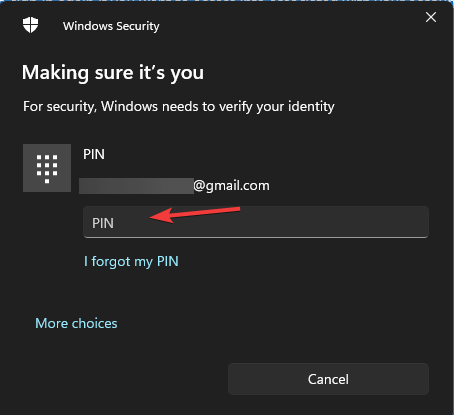 Passwort oder PIN 0x801c0451 