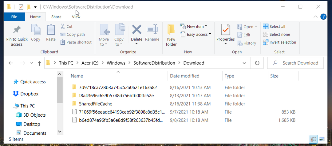 Download-Ordner Einige Update-Dateien fehlen oder haben Probleme