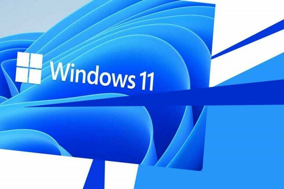 „Microsoft“ išleido „Windows 11“ sulėtėjimo klaidą