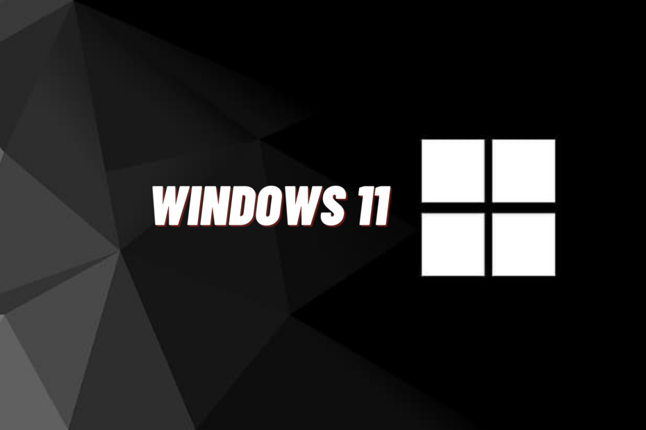 Windows 11 aurait cassé l'assistant d'importation et d'exportation après l'installation