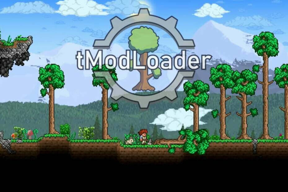 TModLoader mod ბრაუზერის არ მუშაობს 3 გზა