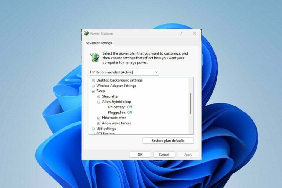 „Windows 11“ miego režimas uždaro visas programas