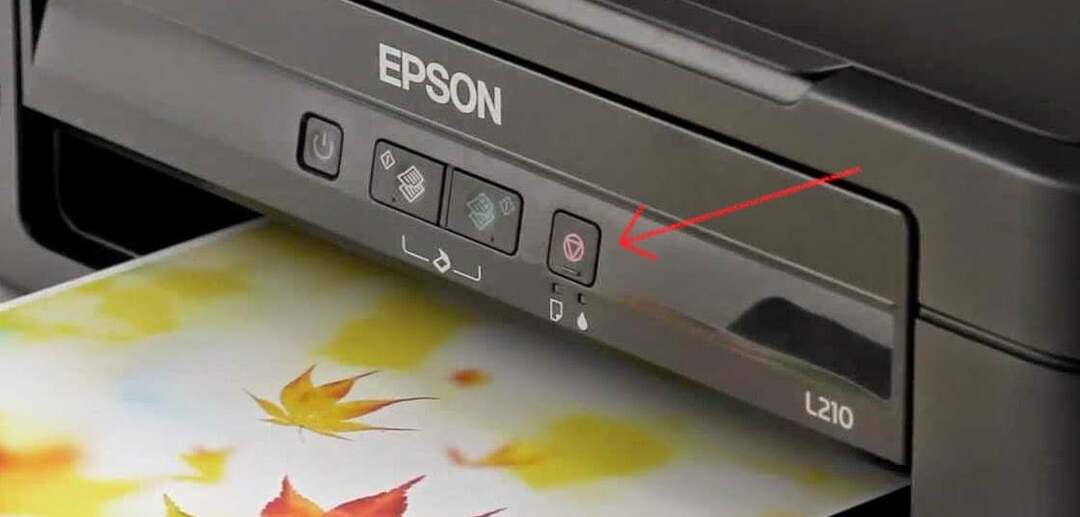 ¿Impresora Epson sigue diciendo atasco de papel? Restablecerlo en 2 pasos