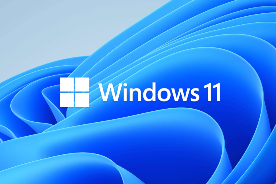 Windows 11 stabilní