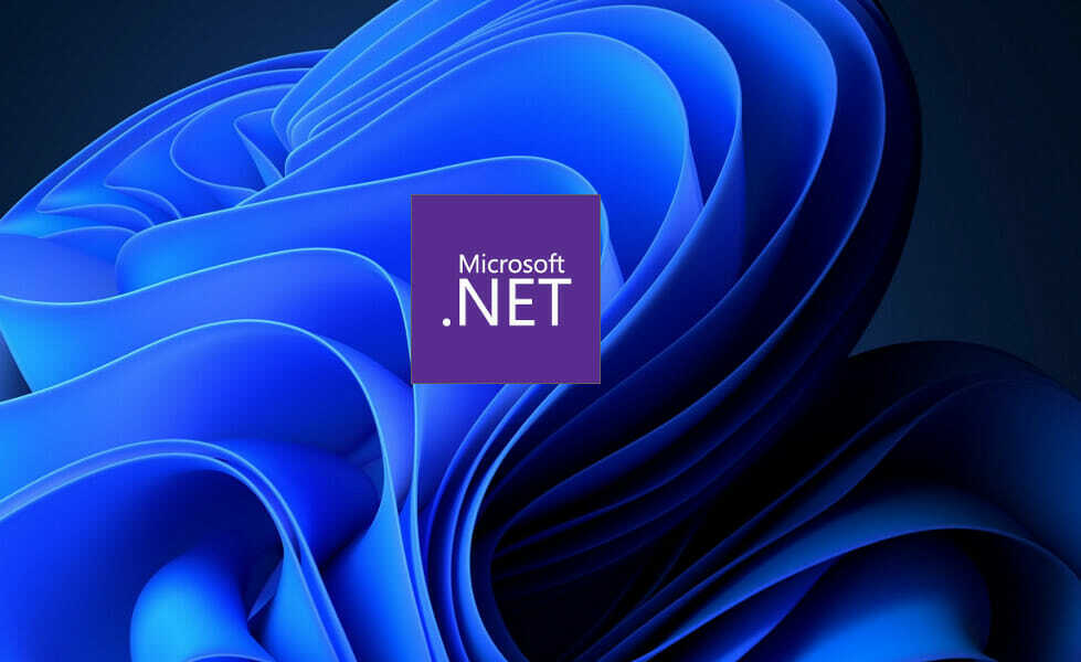 .net kód chyby systému Windows 11 0x800f0801
