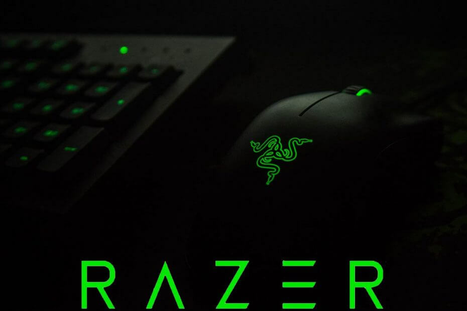 Razer peles draiveris: pareiza instalēšanas rokasgrāmata operētājsistēmā Windows 10