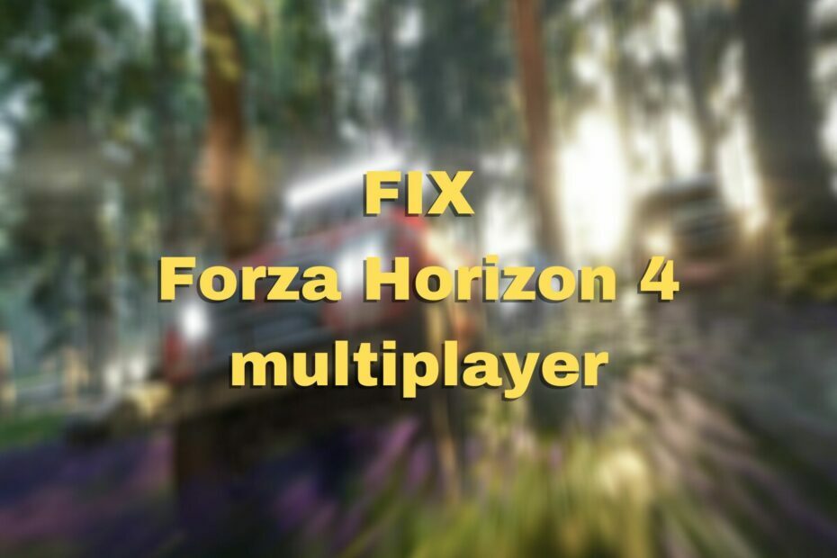 FIX Forza Horizon 4 multiplayer