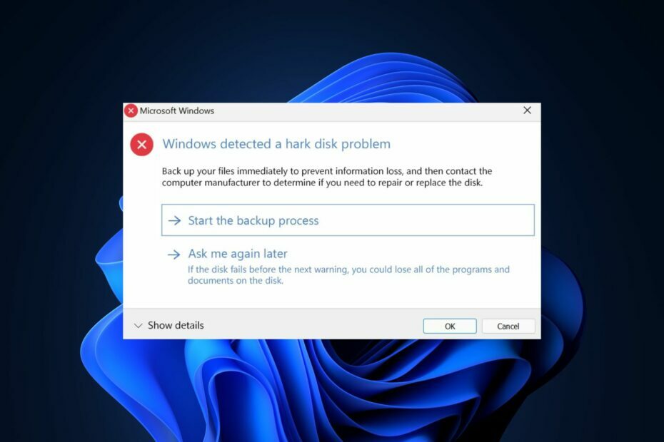 „Windows“ aptiko standžiojo disko problemą