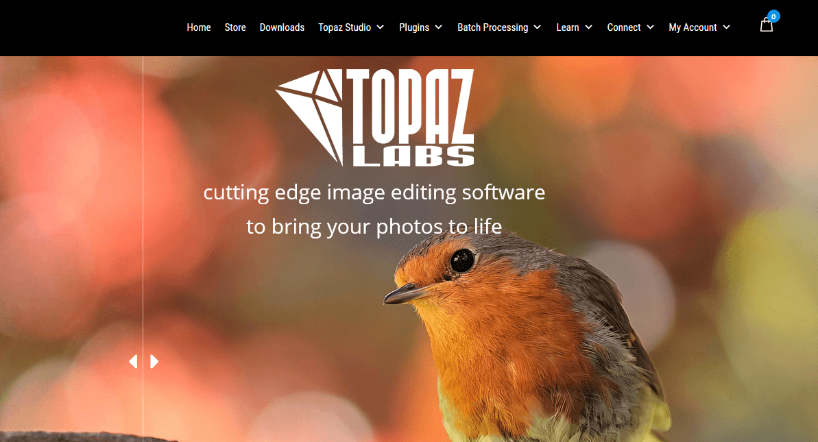 Topaz Studio miglior software fotografico per Fujifilm
