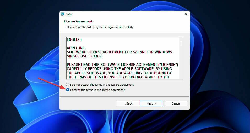L'opzione Accetto i termini scarica Safari Windows 11