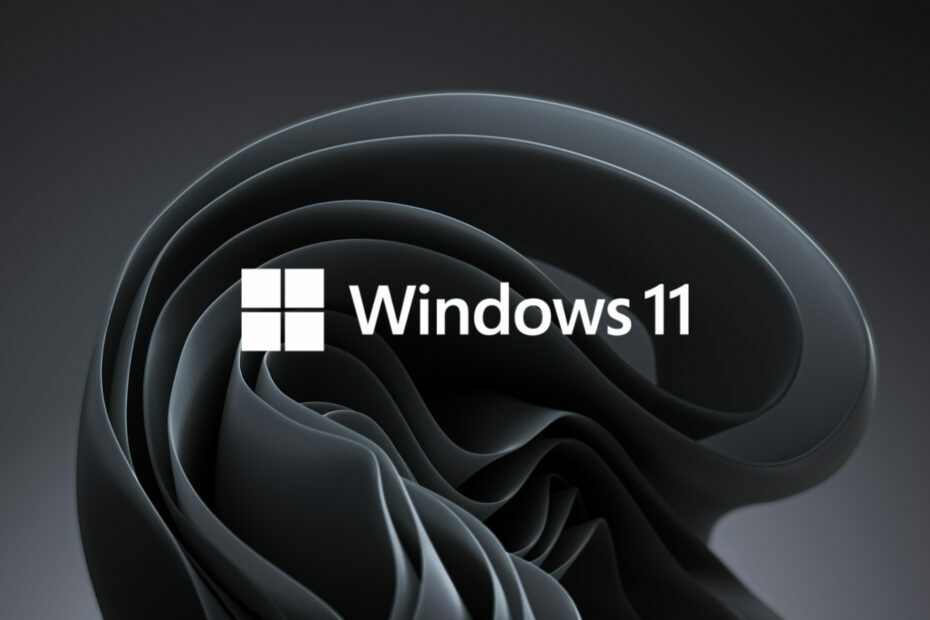 Windows 11 開発者チャンネル