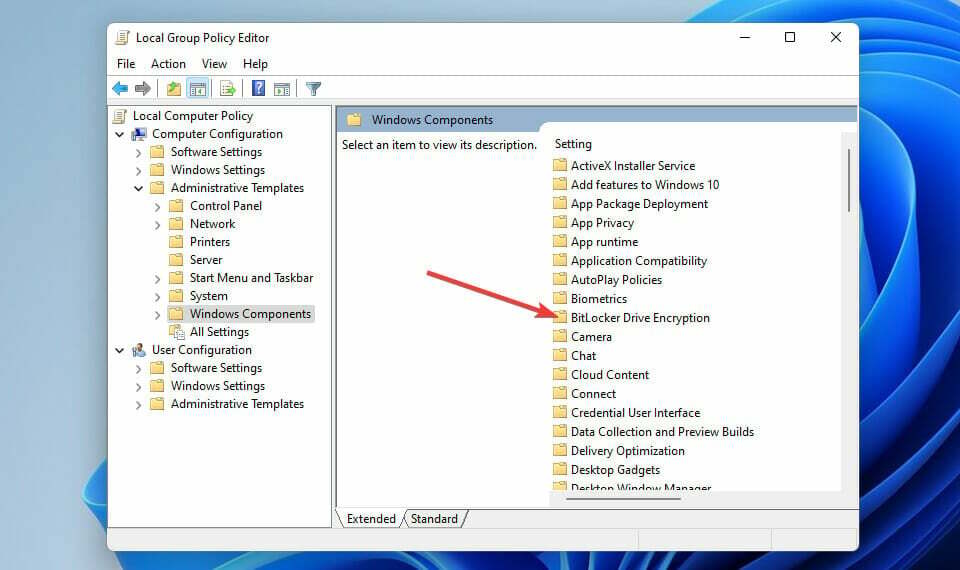 „BitLocker“ tvarkyklės šifravimo komponento „vanguard Windows 11“ klaida