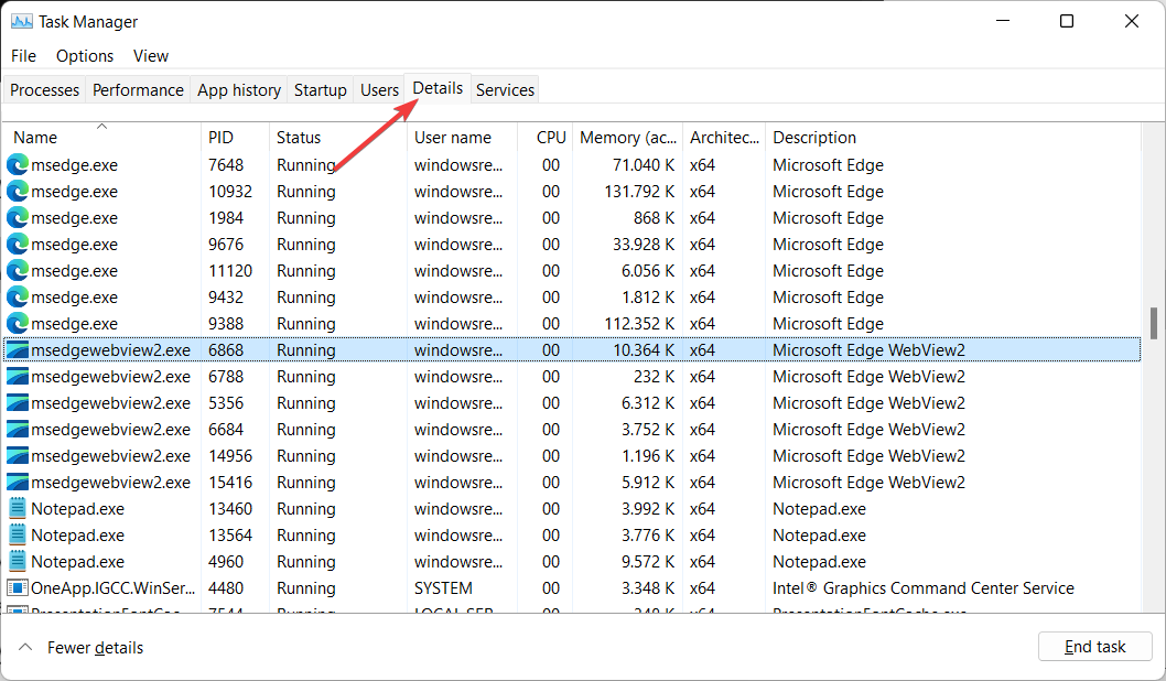 dettagli-pagina-vai runtime di Microsoft Edge webview2