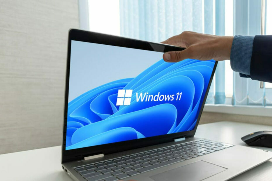 version windows 11