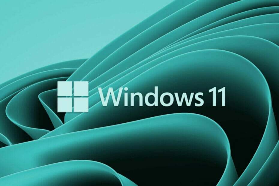 Windows11ビルド
