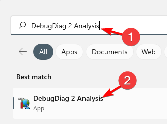 ieškoti DebugDiag 2 Analysis