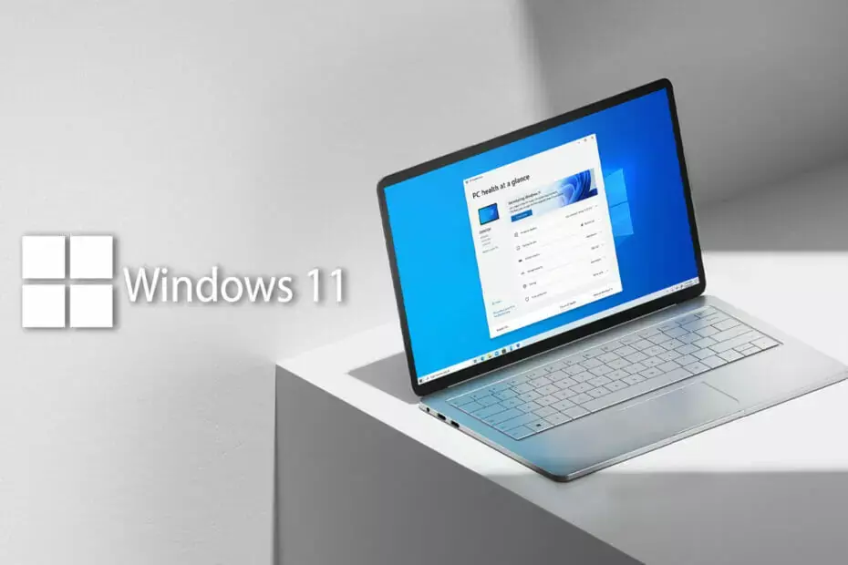 Windows 11 Entwickler-Build