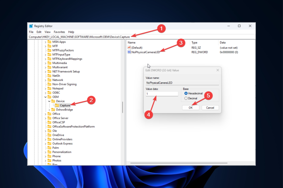 Omogoči Onemogoči indikator zasebnosti kamere v sistemu Windows 11