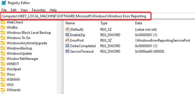 דיווח על שגיאות של windows 11