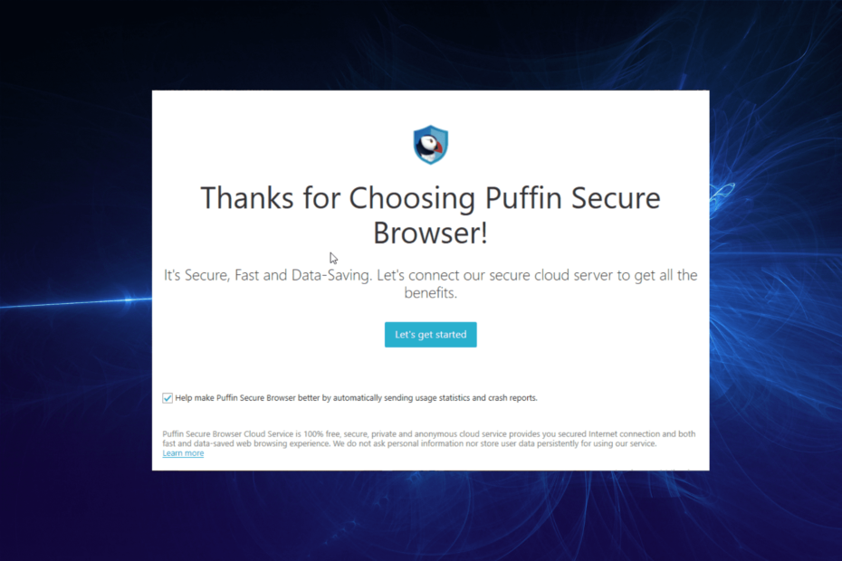 Puffin-Browser verbindet sich nicht mit dem Netzwerk