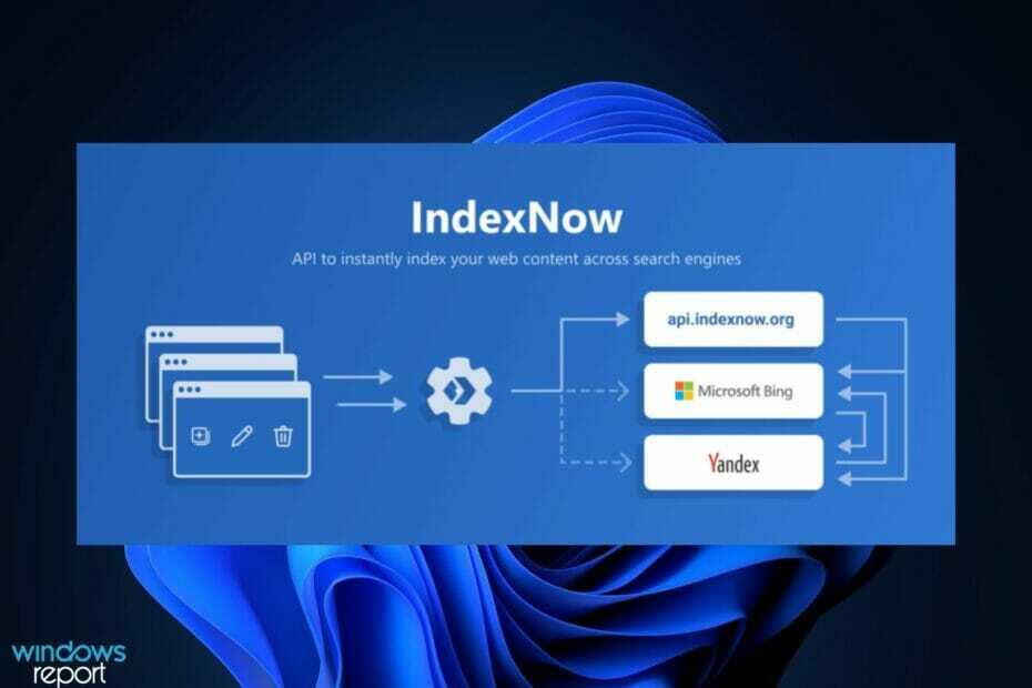 Lanzamiento de IndexNow