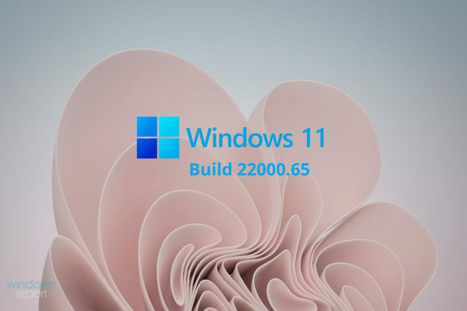 Revisión de Windows 11 Build 22000.65